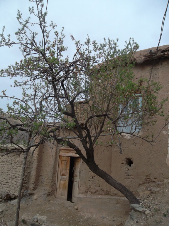 روستای قلعه جوق مه ولات