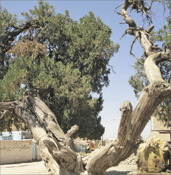 مجموعه تاریخی راز