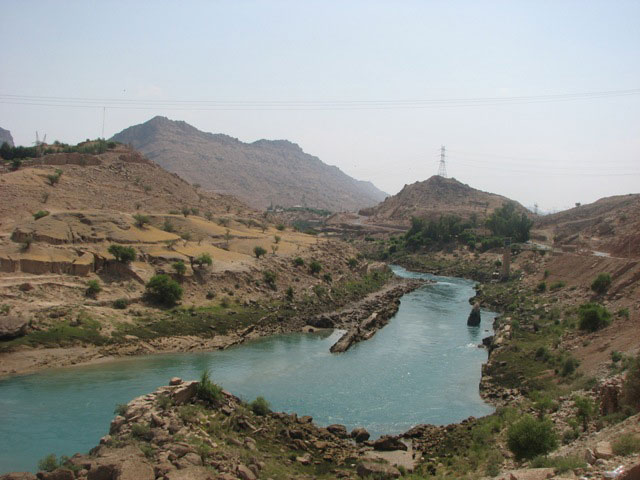 سوسن سرخاب اندیکا