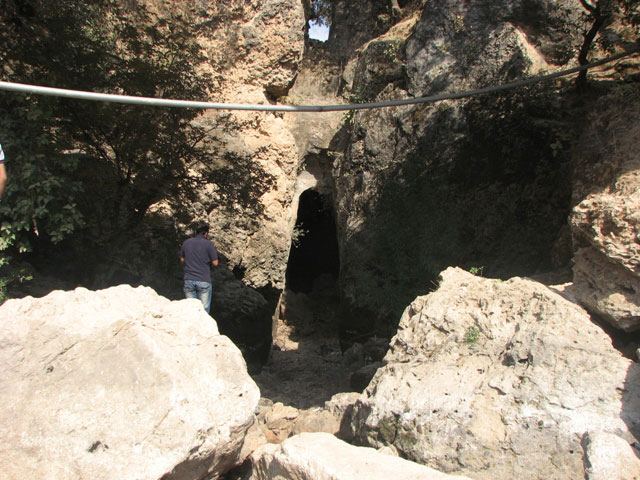 سوسن سرخاب اندیکا