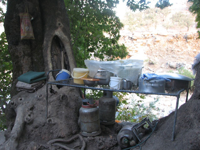 سوسن سرخاب اندیکا