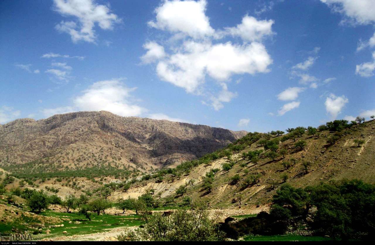 سوسن سرخاب اندیکا