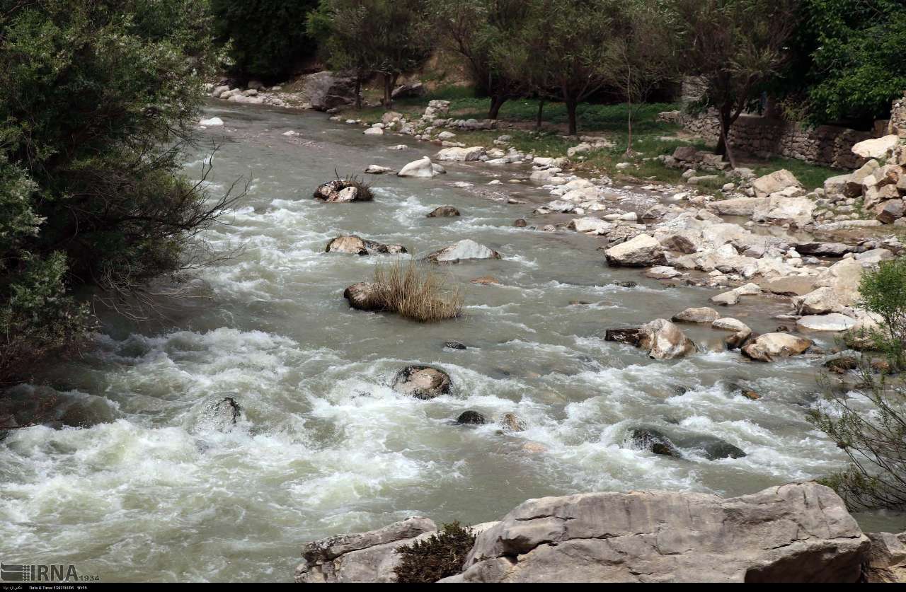 سوسن سرخاب اندیکا