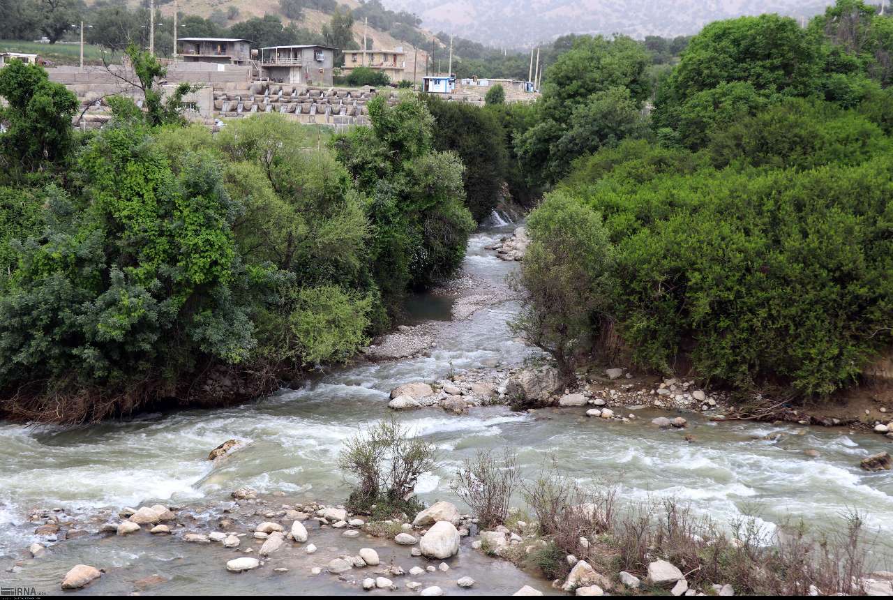 سوسن سرخاب اندیکا