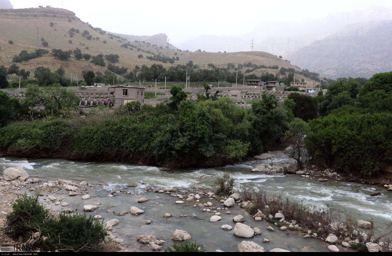سوسن سرخاب اندیکا