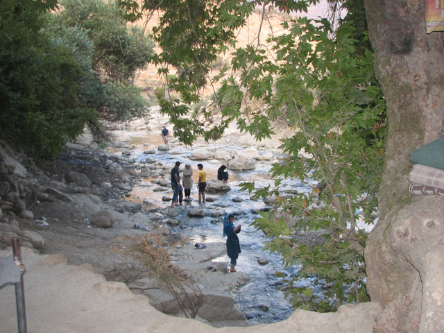 سوسن سرخاب اندیکا