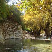 روستای مال آقا باغ ملک