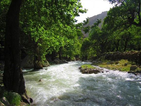 روستای مال آقا باغ ملک