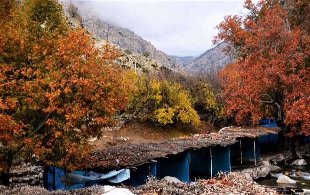 روستای مال آقا باغ ملک