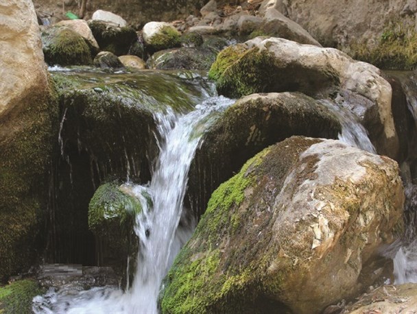 روستای مال آقا باغ ملک