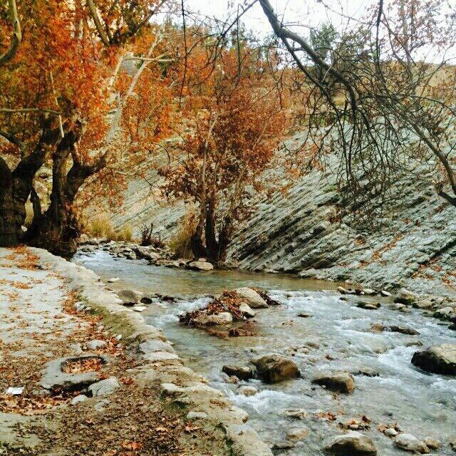 روستای مال آقا باغ ملک