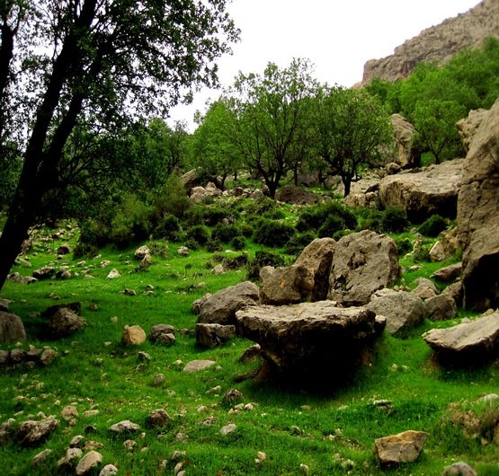 روستای مال آقا باغ ملک