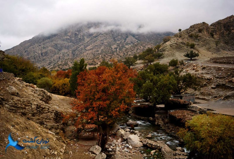 روستای مال آقا باغ ملک