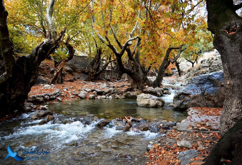 روستای مال آقا باغ ملک
