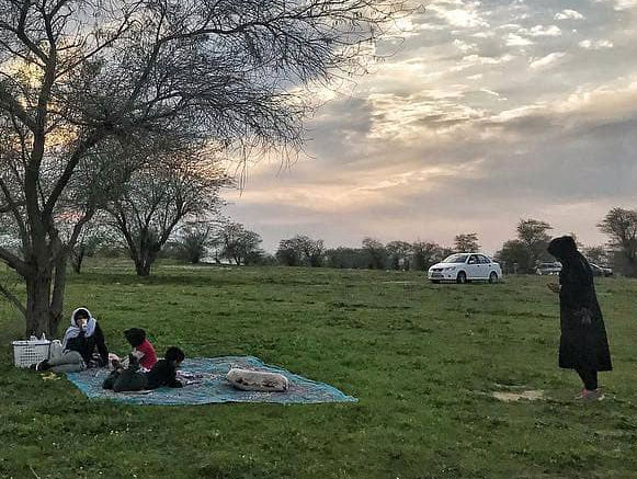 زویرچری باوی