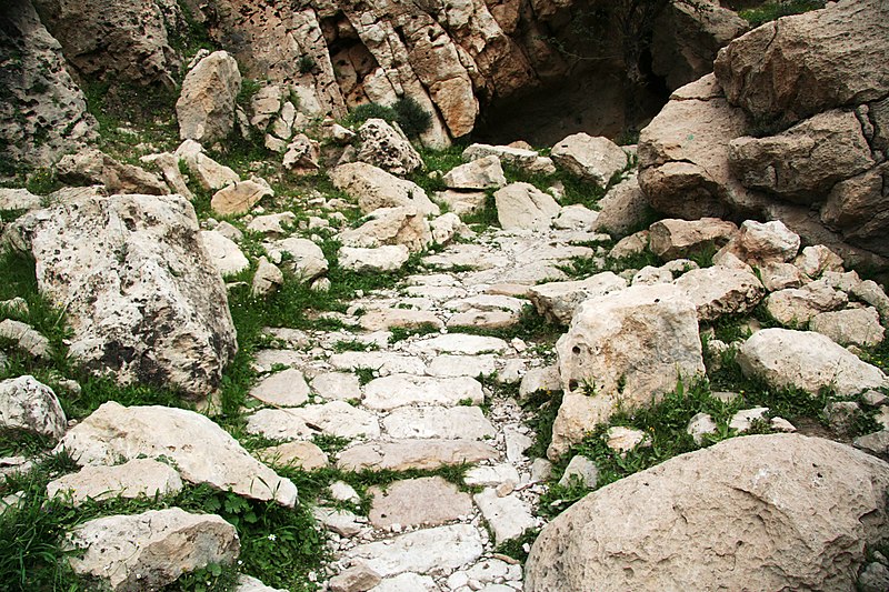 ارجان