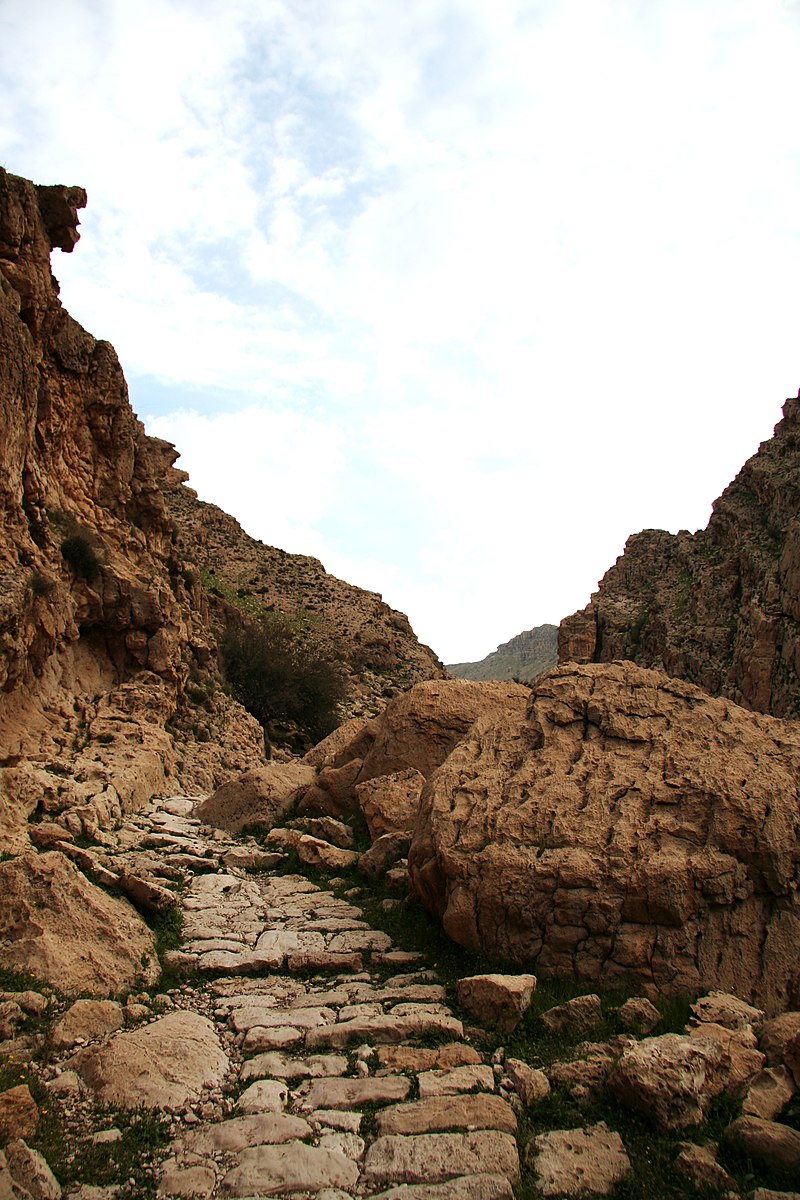 ارجان