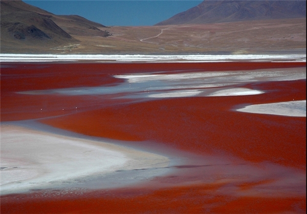 https://fa.tripyar.com/uploads/picture/317/urmia-lake-turned-red-2.jpg