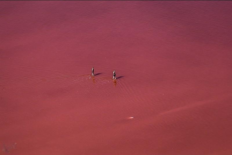 https://fa.tripyar.com/uploads/picture/317/urmia-lake-turned-red.jpg