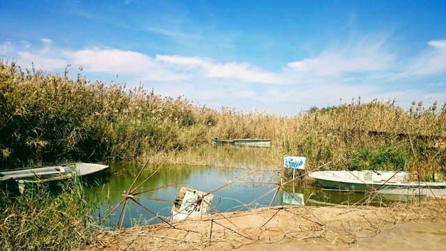منطقه آزاد اروند