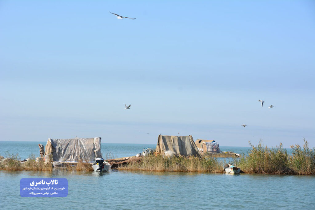 تالاب ناصری خوزستان مقصدی مناسب برای گردشگری 