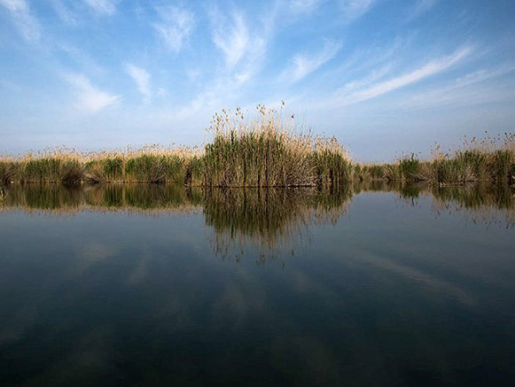 هورالعظیم