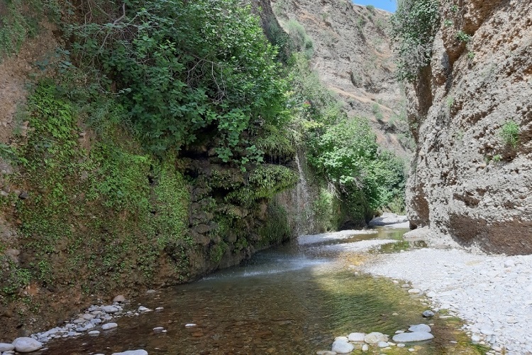 دره پل پرزین