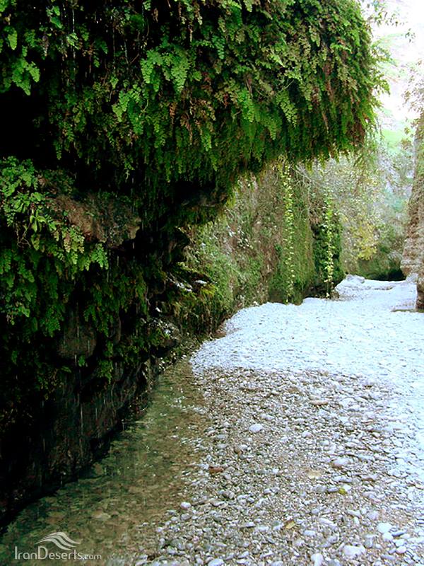 دره پل پرزین
