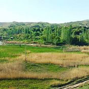 چشمه آرکویین ایجرود