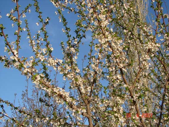 سوکهریز خرمدره