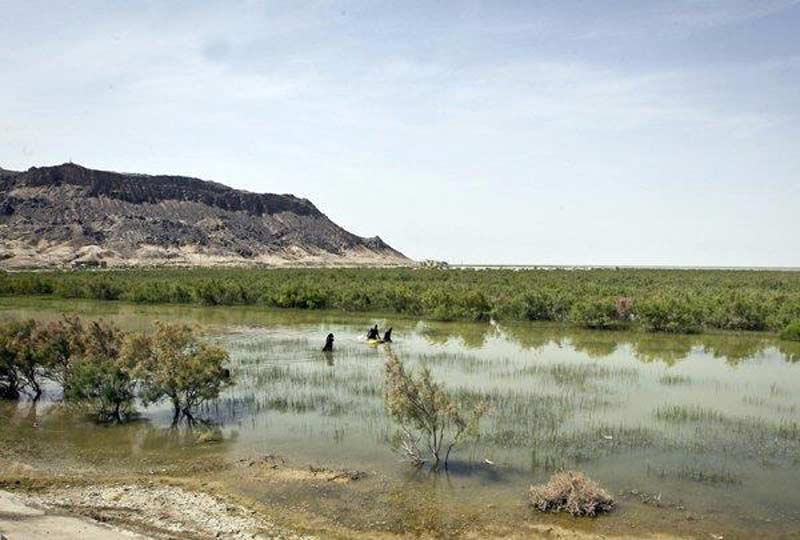 تالاب جازموریان