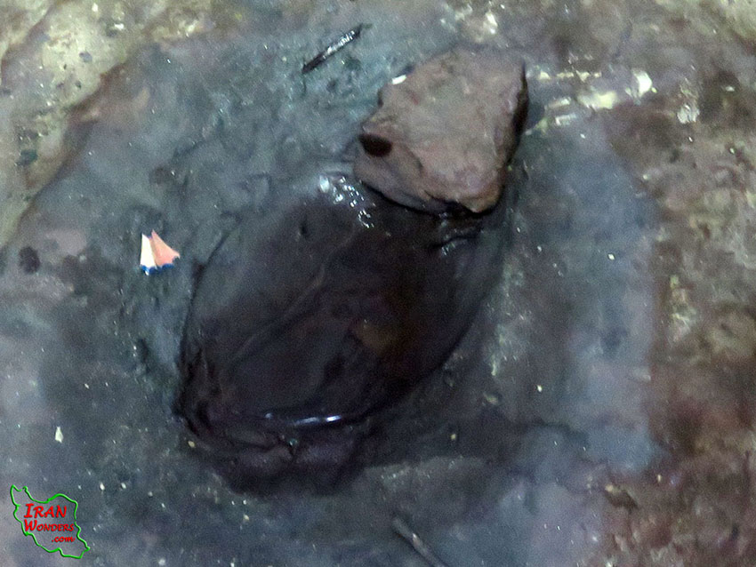 روستای کلپورگان سراوان
