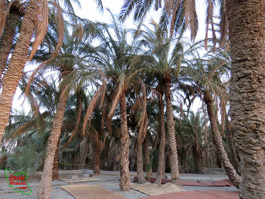 روستای کلپورگان سراوان
