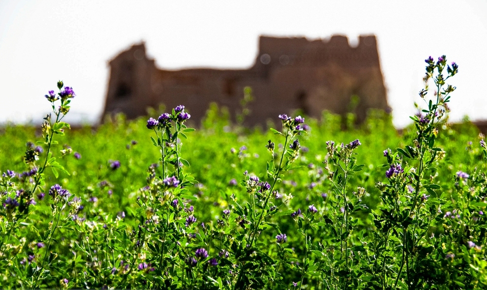 قلعه پسکوه سیستان و بلوچستان
