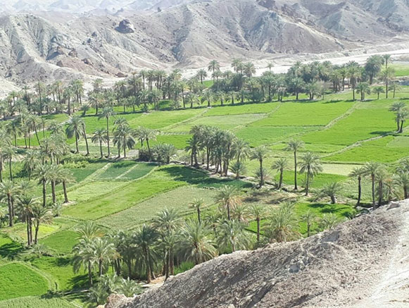 تپه دمبیگان قصر قند