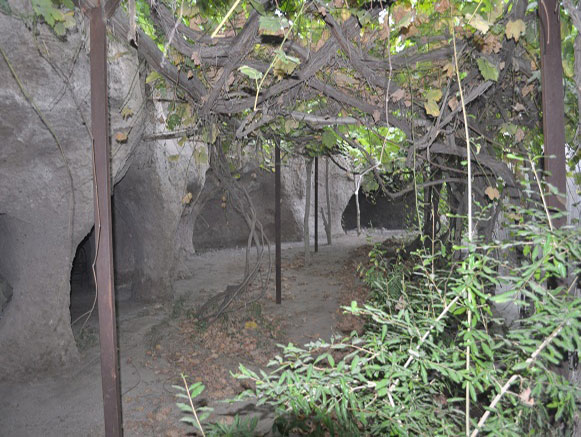 روستای تمین میرجاوه