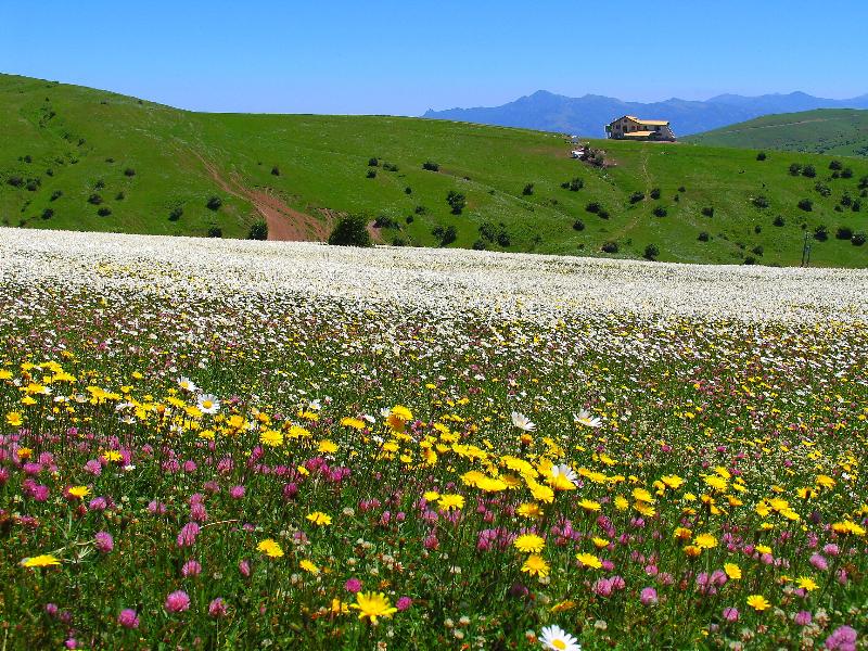 طبیعت زیبای استان اردبیل