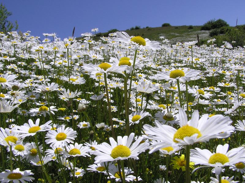 طبیعت زیبای استان اردبیل