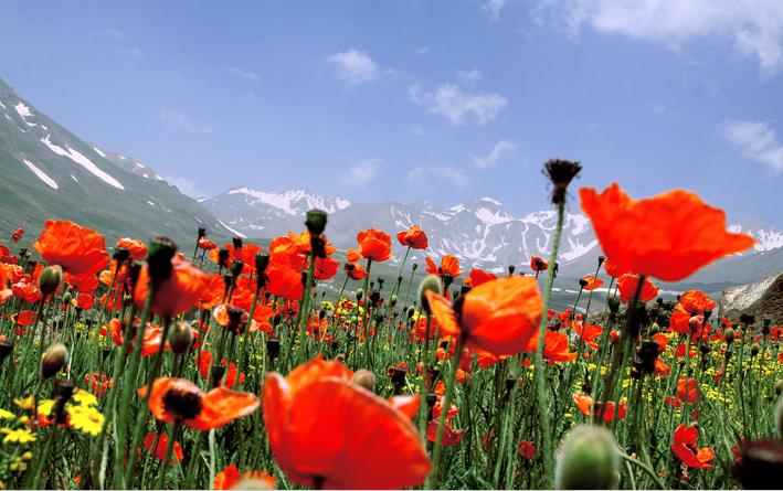 طبیعت زیبای استان اردبیل