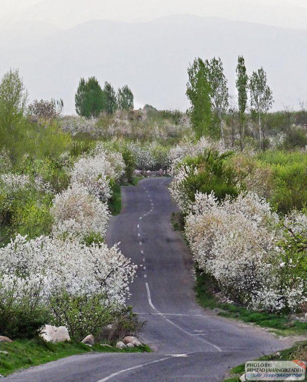 طبیعت زیبای استان اردبیل