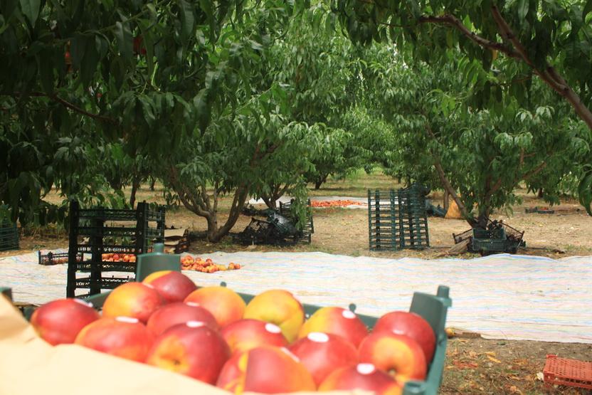 طبیعت زیبای استان اردبیل