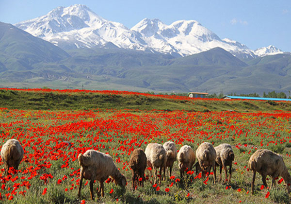 طبیعت زیبای استان اردبیل