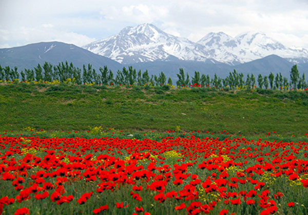 طبیعت زیبای استان اردبیل