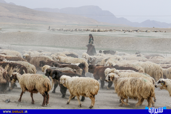 تالاب کمجان خرامه