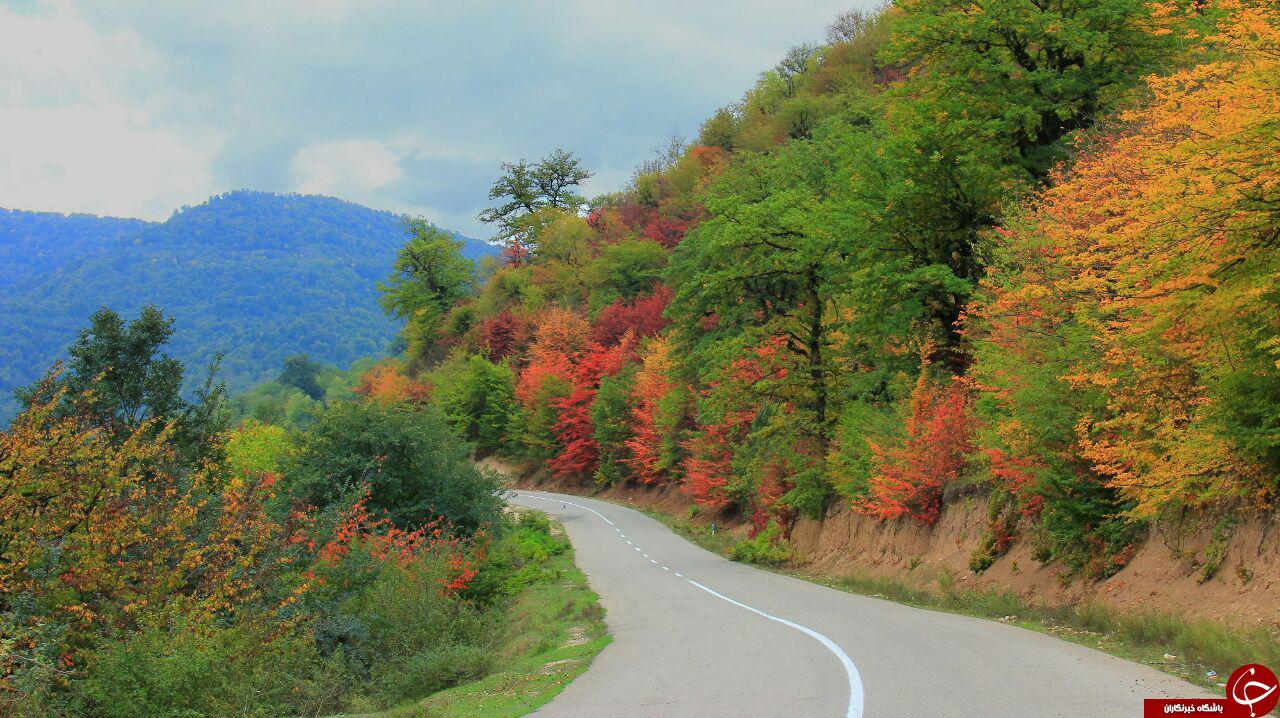 روستای اوسا