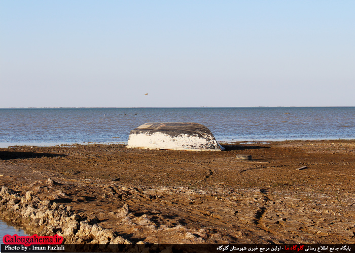 دریای آرام گلوگاه