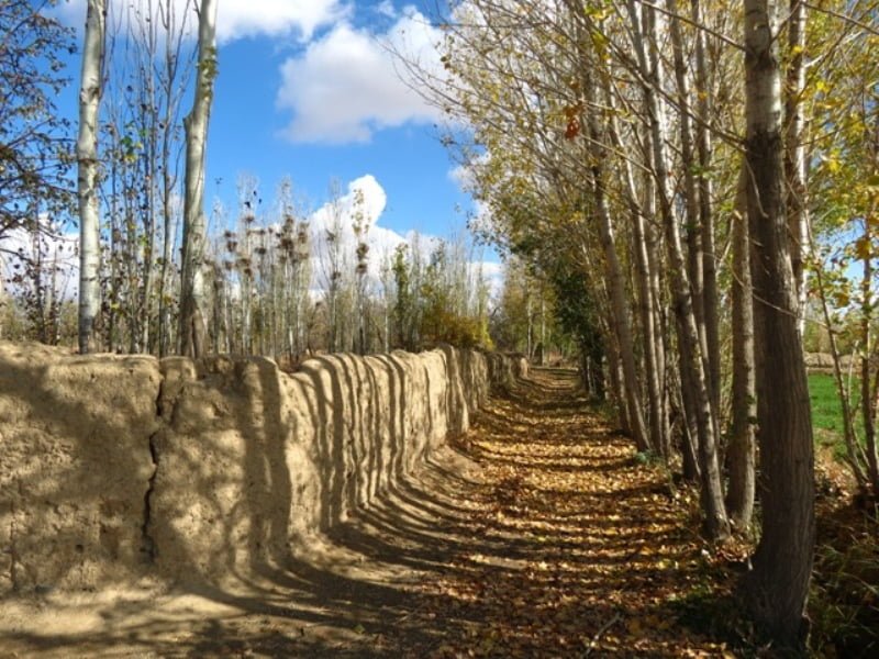 قلعه خاندان بهادری کمیجان