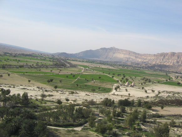 بهده پارسیان