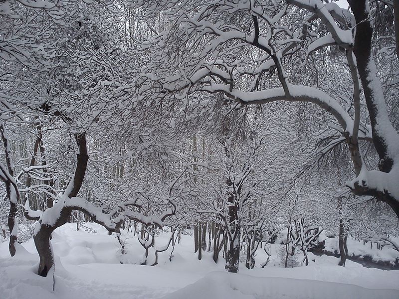روستای ده چشمه فارسان