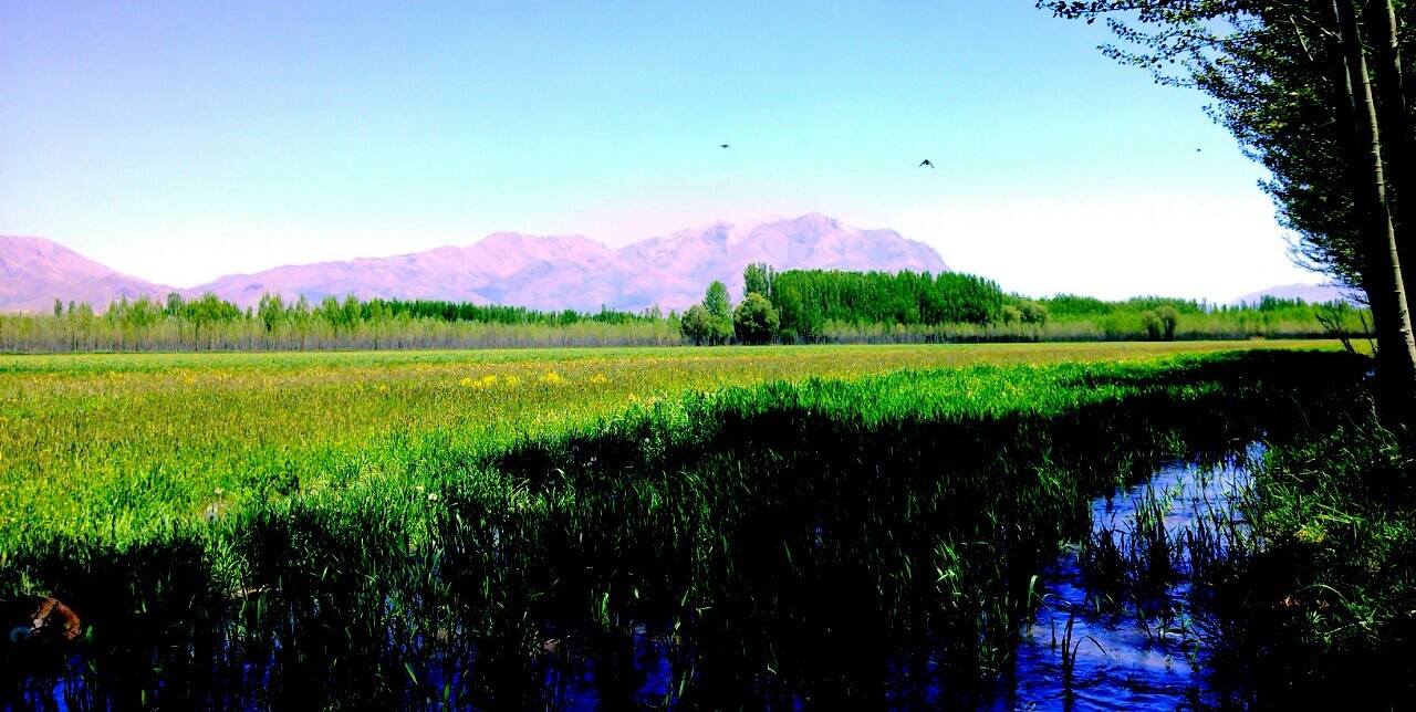 روستای ده چشمه فارسان